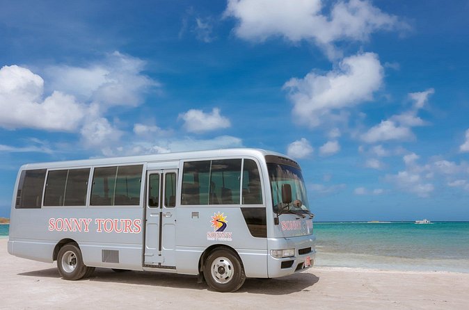 Baby Beach Day Roundtrip - Price and Logistics: Does $40 Make Sense?