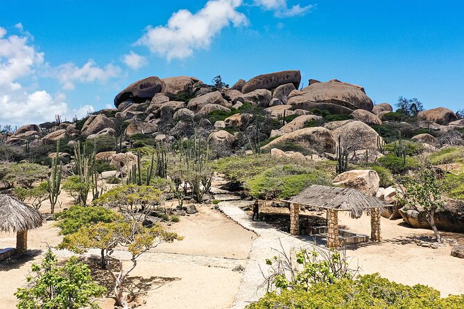 Best of Aruba by Bus - Baby Beach Snorkeling: Calm Water, Short Walks, Real Coral