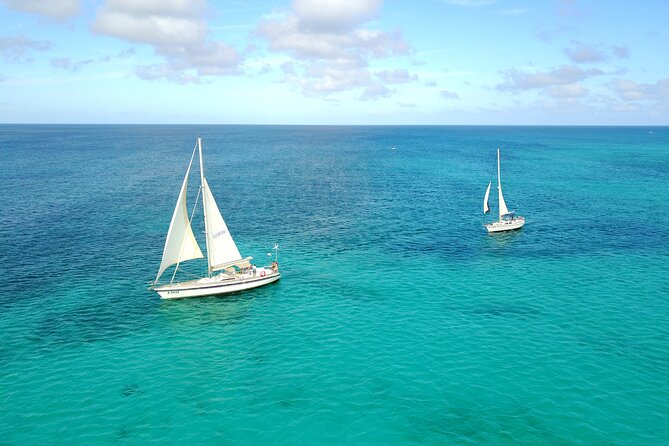 Blue Parrot Snorkel Sail with 4 course lunch or dinner in Aruba - The 4-Course Lunch or Dinner (Plus Premium Open Bar)