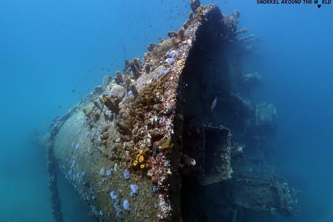 Boat Dive Shipwreck/ Airplanes/ Reef /2 tanks - Stop 1: The Jane Sea Shipwreck (What You’ll Be Looking For)