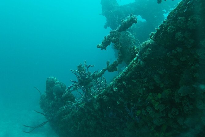 Boat Dive Shipwreck/ Airplanes/ Reef /2 tanks - Gear, Guidance, and the Human Touch (Izhar Is Mentioned)