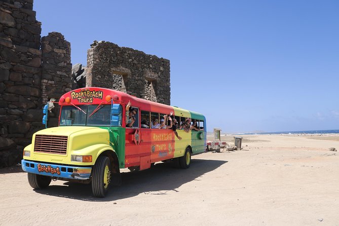 Colorful Beach Bus Sightseeing Tour of Aruba - Price and value: what $65.98 buys you