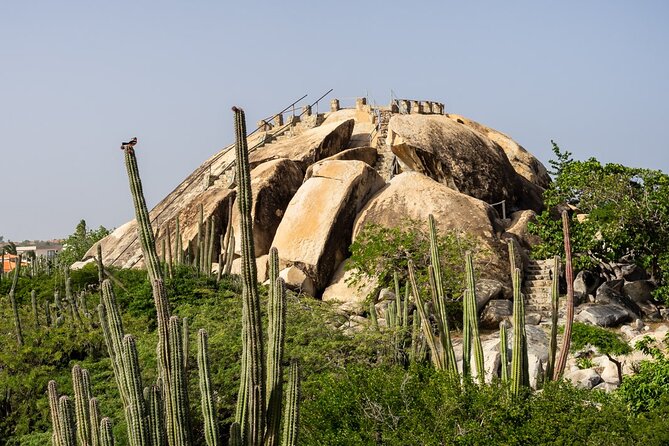 Colorful Beach Bus Sightseeing Tour of Aruba - Natural Bridge Aruba: volcanic rock and big wave energy