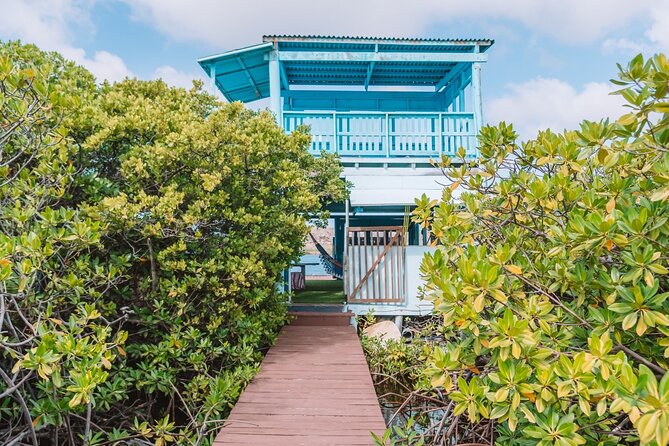 Custom Full‑Day Private Adventure: Snorkel & Explore Hidden Spots - Price and value: what $1,140 buys in real Aruba time