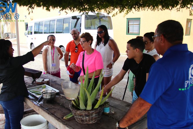 Customized Aruba Island Private Tour for All Ages - Oranjestad pickup and drop-off: the time-and-stress saver