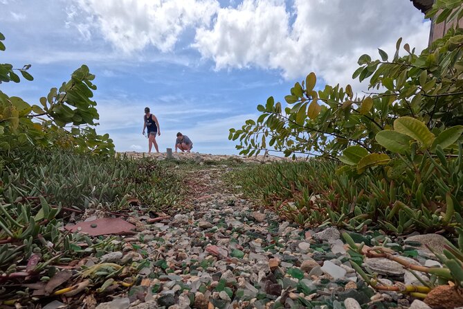 Discover Sea Glass Island: Aruba’s Must-Do Adventure - Timing and physical fit: who this suits best