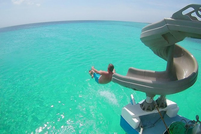 Dolphin Catamaran Snorkel and Sail with Open Bar - Key points to know before you go