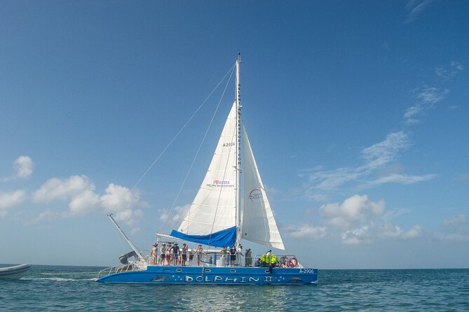 Dolphin Catamaran Snorkel and Sail with Open Bar - The Dolphin in Aruba: what this 3-hour catamaran trip actually feels like