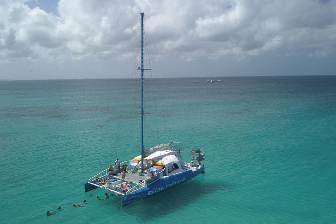 Dolphin Catamaran Snorkel and Sail with Open Bar - Slide and rope swing: the fun that turns snorkeling into a full day out
