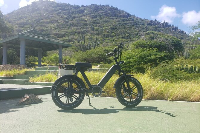 Ebike Rentals in Aruba - Who should book this e-bike rental in Aruba?