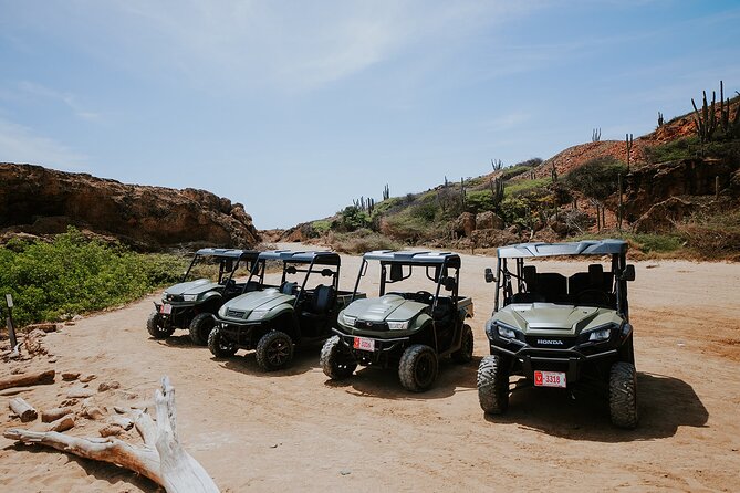 Exclusive Aruba UTV Rentals - Price and What’s Included: Getting Value From the $310 Group Rate