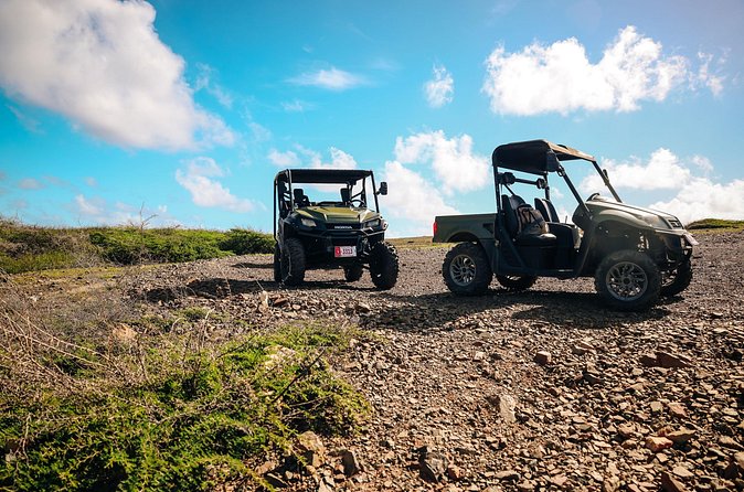Exclusive Aruba UTV Rentals - What the Staff Adds: Toto-Style Friendly Setup
