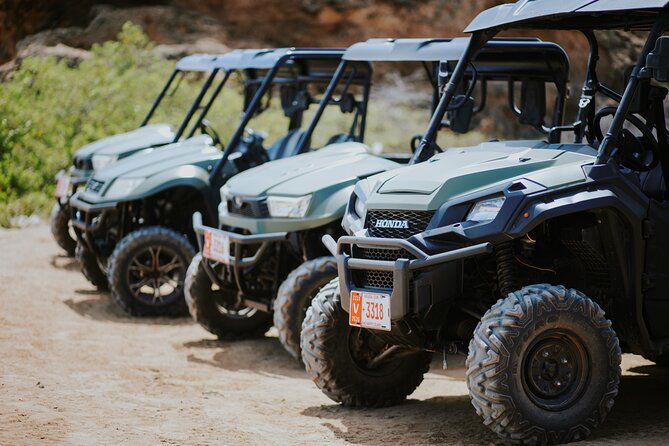 Exclusive Aruba UTV Tours - Price and group size: what $256 really buys