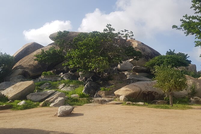 Full-Day Aruba Sightseeing island Tour with Baby Beach Swim - Aloe factory, museum, and store: more than a roadside stop