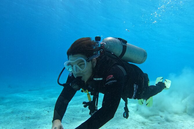 Guided Padi Discover Scuba Diving for Non-Certified Divers - Quick Hits Before You Go