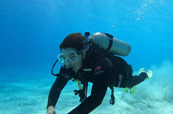Guided Padi Discover Scuba Diving for Non-Certified Divers - Price and Logistics: Is $120 a Good Deal?