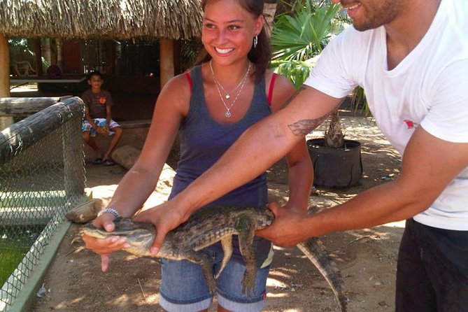 Half-Day Aruba Animal Sanctuary Guided Tour - Getting there in Aruba sun: coach comfort and what to pack