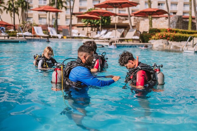 Half-Day Aruba Intro Diving Course for Beginners - Key Highlights That Make This Worth Your Half Day