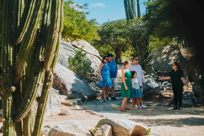 Half-Day Aruba Island Tour from Oranjestad - Stop 1: Aruba Aloe Factory Museum and Store (45 Minutes)