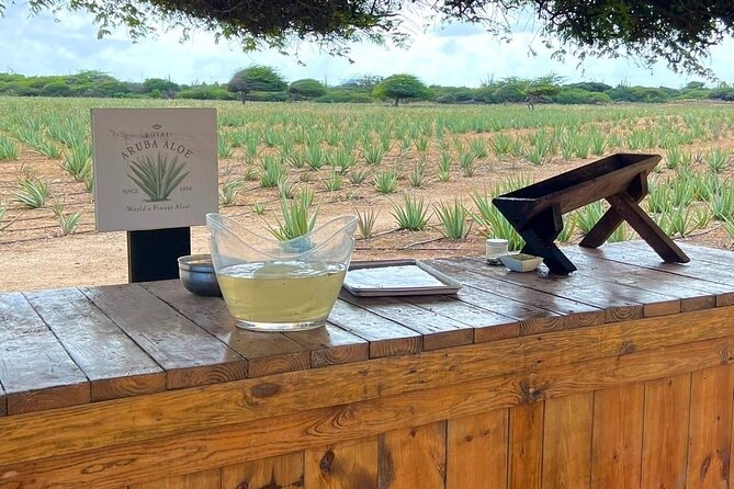 Half day Aruba Jeep Tours - Sightseeing and more - Bushiribana Ruins: gold-rush remnants that add real Aruba context