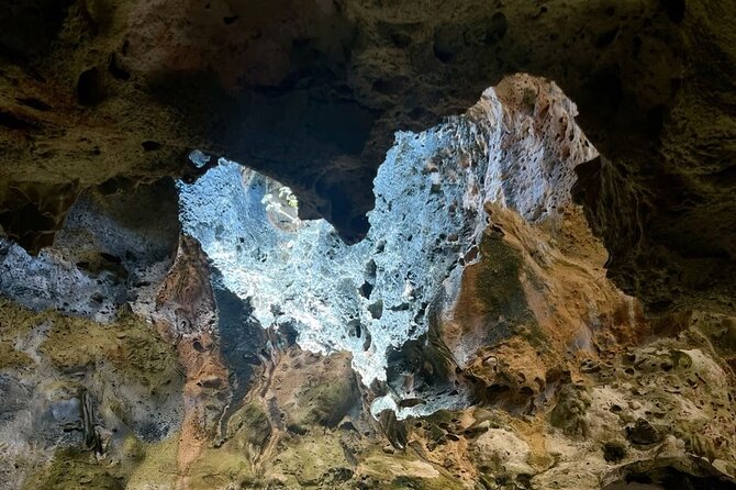 Half day Aruba Jeep Tours - Sightseeing and more - Eagle Beach: the sand-and-divi-divi part you’ll want to linger on