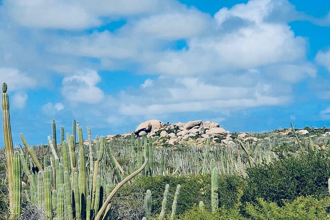 Half-Day Aruba UTV Adventure Tour - Price and value: what $220 per group really means