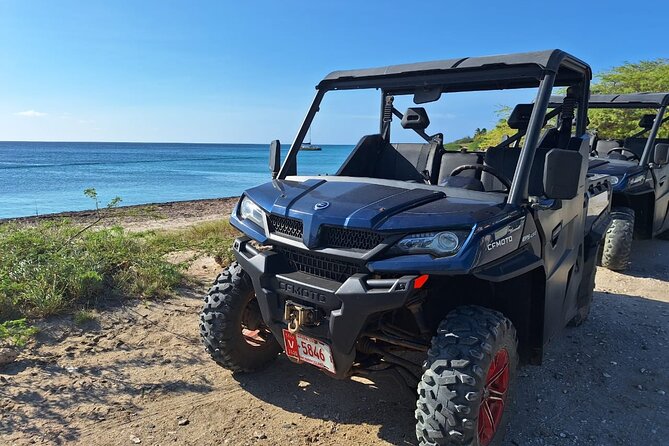 Half-Day Aruba UTV Adventure Tour - Pickup, small-group vibes, and how the day flows