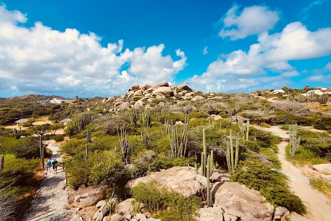 Half-Day Jeep Tour in Aruba - Aruba Jeep Ride Time: What 4 Hours Really Feels Like