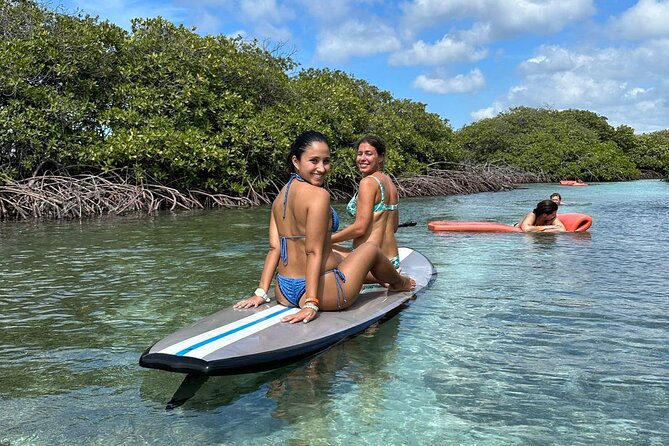 Half‑Day Private Snorkel & Mangrove Experience — Local Host - What This Half-Day Private Snorkel-and-Mangrove Tour Really Feels Like
