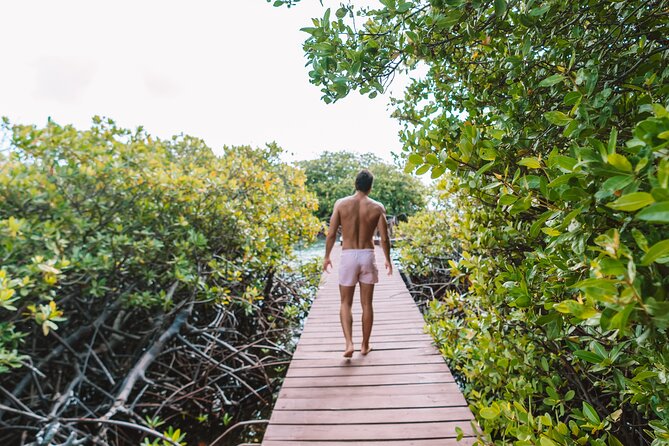 Half‑Day Private Snorkel & Mangrove Experience — Local Host - Barcadera Reef Stop: Optional Extra Snorkel Time