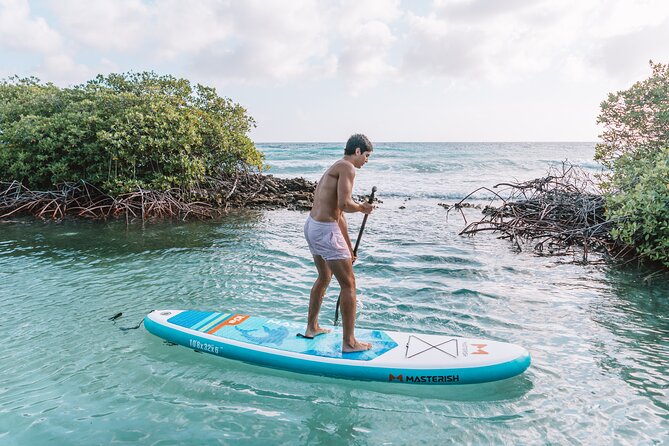 Half‑Day Private Snorkel & Mangrove Experience — Local Host - Lunch Platter and Aruba Ariba Open Bar: Why the Food Is a Big Deal Here