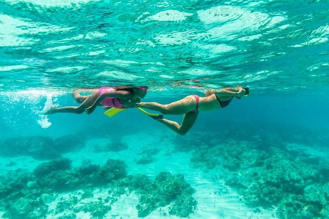Half-Day Snorkel Sail Tour with Caribbean Lunch - A Half-Day Catamaran That Fits Aruba’s Rhythm