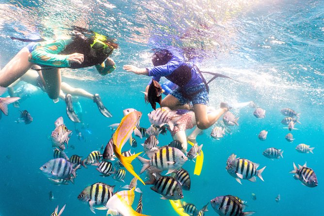 Half-Day Snorkel Sail Tour with Caribbean Lunch - On Deck: Caribbean Lunch Buffet, Open Bar, and the Timing Factor