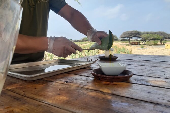 Half day Tour - Key Reasons This Half-Day Aruba Tour Gets 5-Star Love