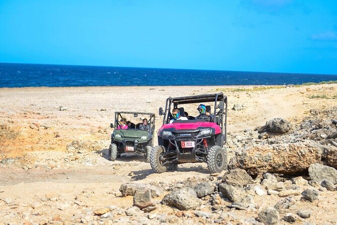 Half Day UTV Rentals - Price and Logistics: $230 Per Group for Up to 2, With Insurance and Pickup