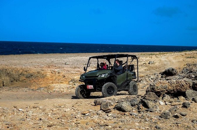 Half Day UTV Rentals - Who This Half-Day UTV Rental Fits Best