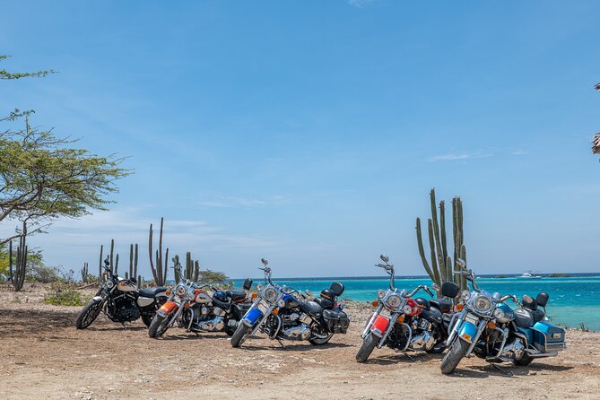 Harley-Davidson RENTALS ONLY 4 hrs - Key highlights you’ll care about