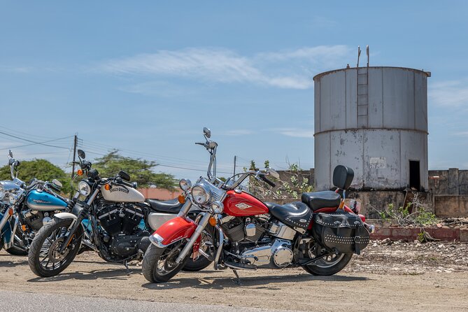 Harley-Davidson RENTALS ONLY 4 hrs - Choose your Harley: Road King, Heritage, Dyna, or Sporty