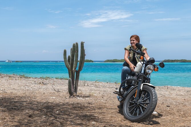 Harley-Davidson RENTALS ONLY 4 hrs - Baby Beach plan: bring a towel and build in swim time