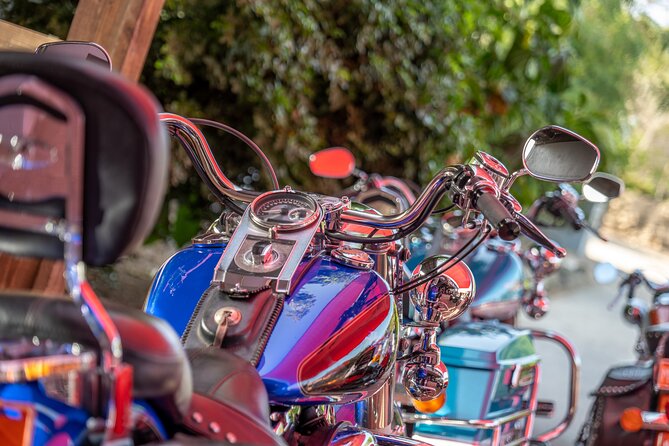 Harley-Davidson RENTALS ONLY 4 hrs - Arikok National Park option: trade beach minutes for a different Aruba feel