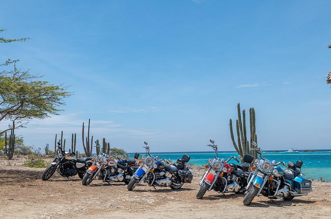 Harley-Davidson RENTALS ONLY 4 hrs - Price and value: $148.40 for up to two people