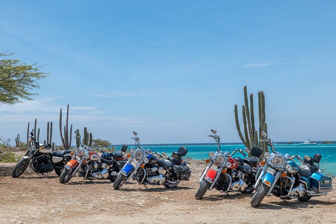 Harley-Davidson RENTALS ONLY 8 hrs - Choosing Your Harley: Road King, Heritage, Dyna, or Sporty