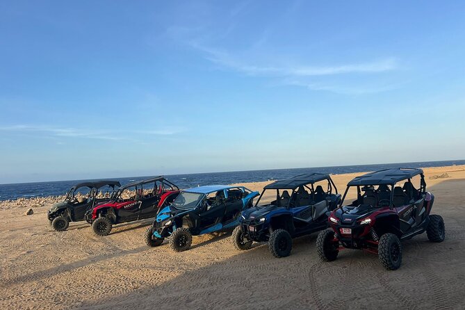 Honda Tallon 4 seat rental - Key Highlights Worth Booking For