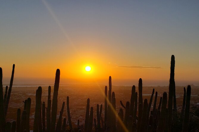 Hooiberg Hill Hike (Sunrise, Sunset, Night) - Who should book (and who should skip) this Hooiberg climb