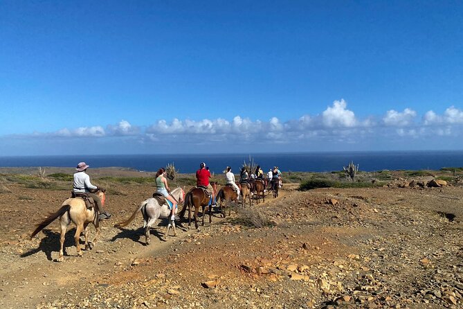 Horseback Ride Tour to Natural Pool in Arikok National Park - Price and Logistics: What $155 Buys You (and What It Doesn’t)