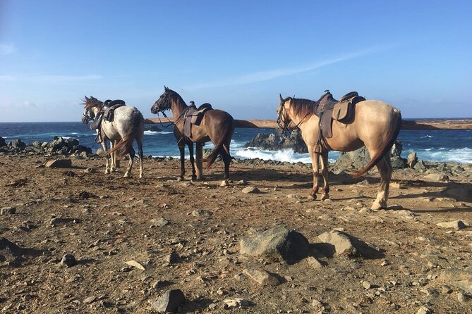 Horseback Ride Tour to Natural Pool in Arikok National Park - Who Should Book This Tour (and Who Should Skip It)