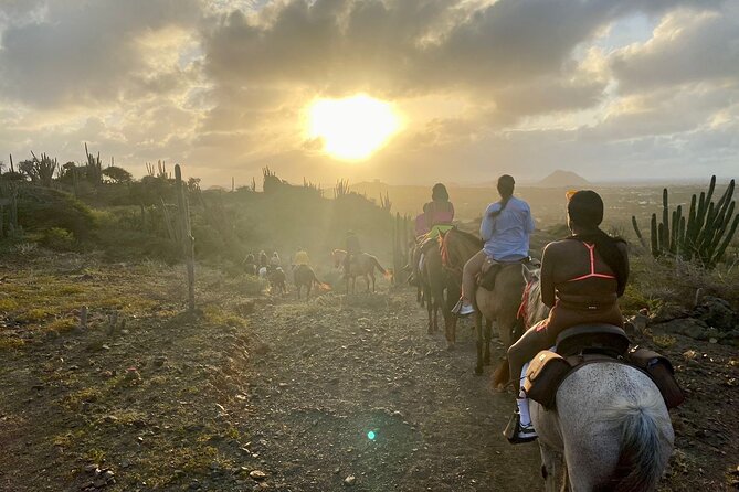 Horseback Ride Tour to Natural Pool in Arikok National Park - Should You Book the Horseback Ride to Conchi?