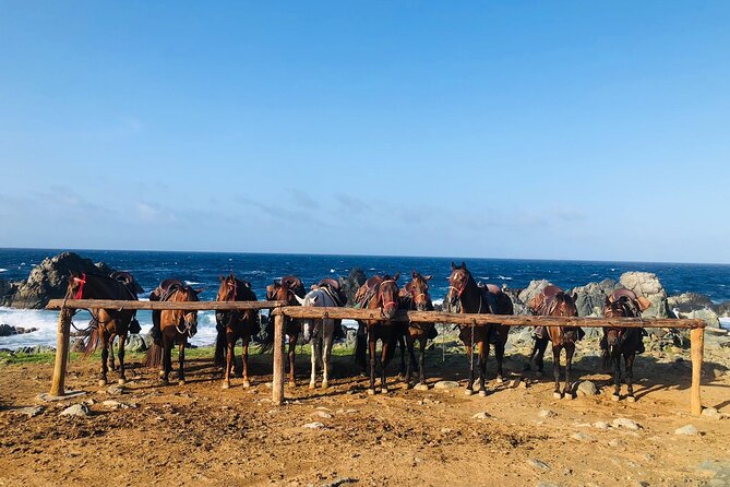 Horseback Ride Tour to Natural Pool in Arikok National Park - FAQ
