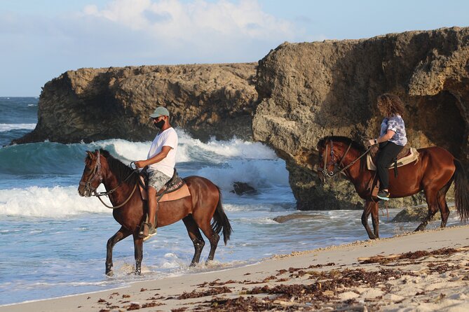 Horseback Riding and Natural Pool Adventure in Aruba - Key reasons this tour works so well in Aruba