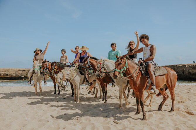 Horseback Riding and Natural Pool Adventure in Aruba - Horseback riding to Wariruri Bay: shoreline views and real confidence
